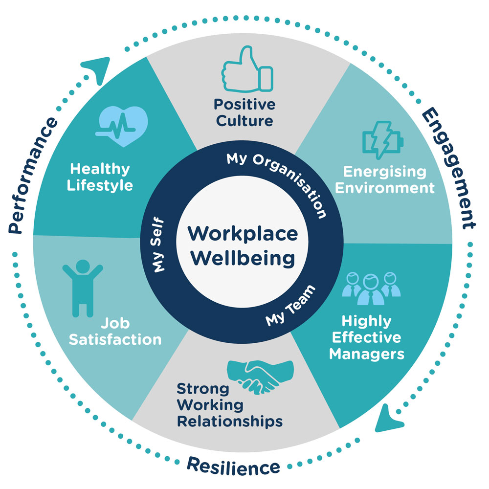 Wellbeing audit infographic